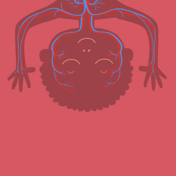 This is my Body - Anatomy for Kids